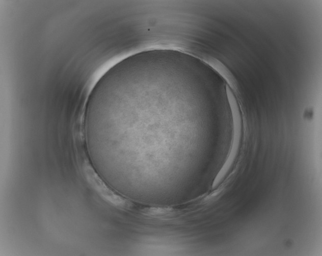 X0000112351052200908201435
