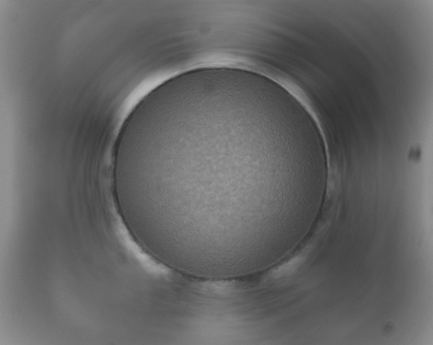 X0000112351053200908201435