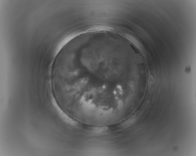 X0000112351055200908201435