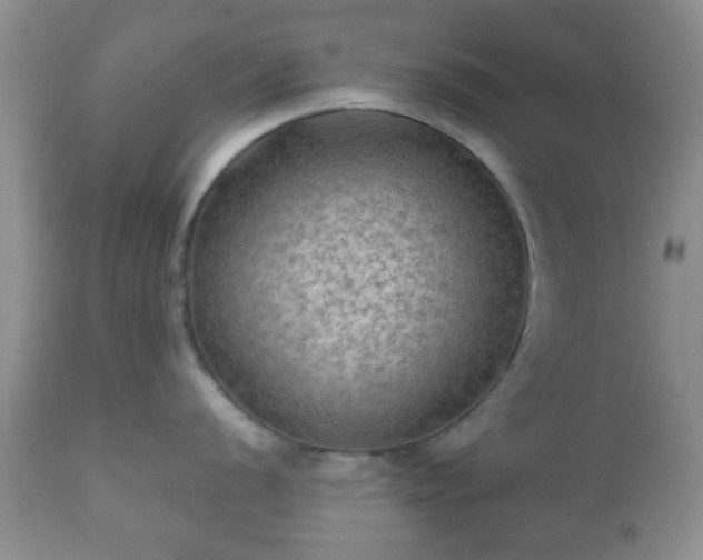 X0000112351056200908201435