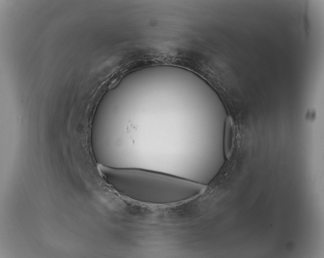 X0000112351057200908201435