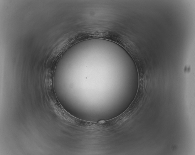 X0000112351058200908201435
