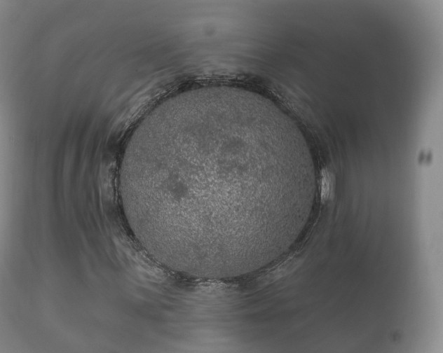X0000112351059200908201435