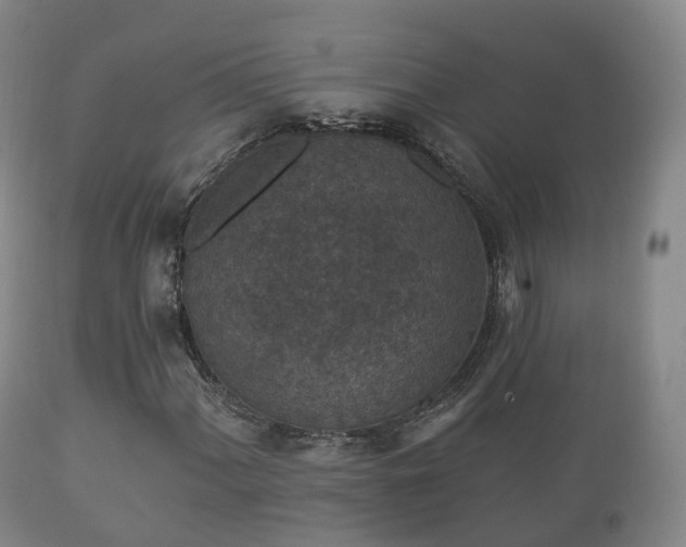 X0000112351060200908201435