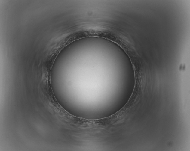 X0000112351061200908201435