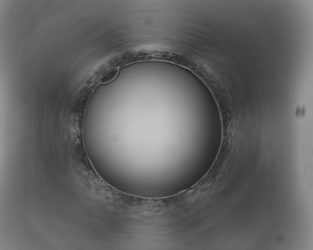 X0000112351062200908201435