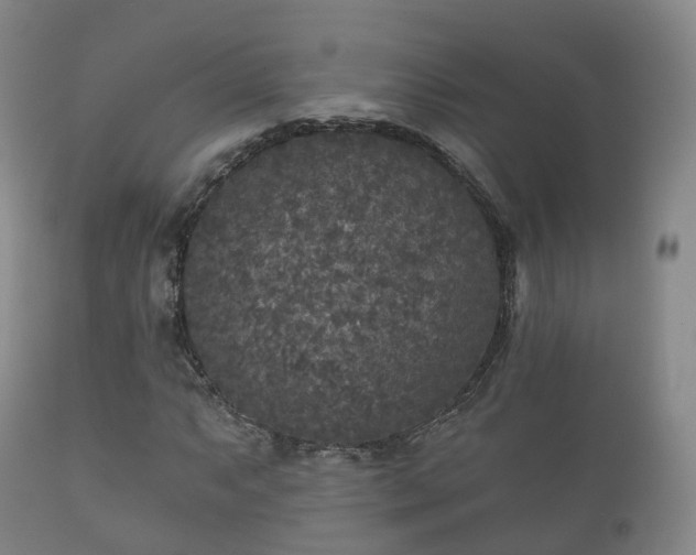 X0000112351063200908201435