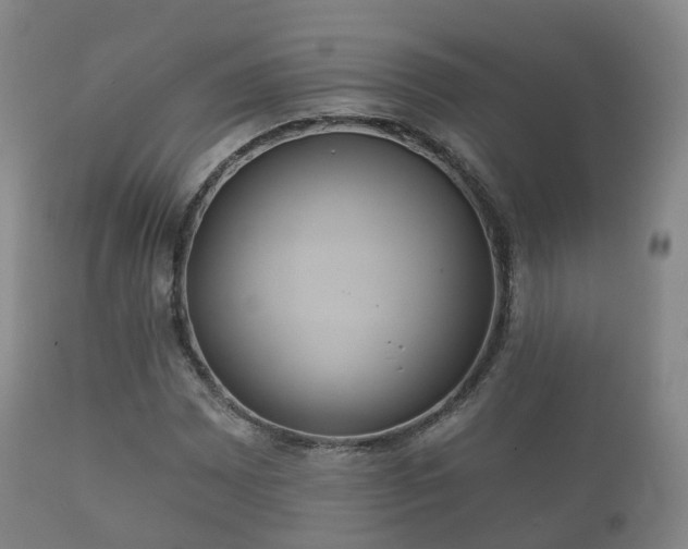 X0000112351065200908201435