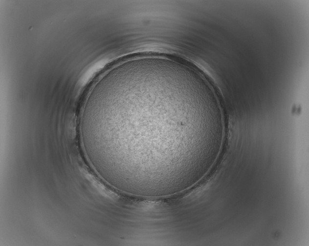 X0000112351067200908201434