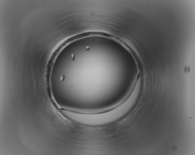 X0000112351068200908201434