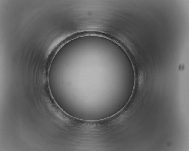 X0000112351069200908201434