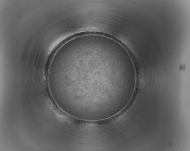 X0000112351070200908201434