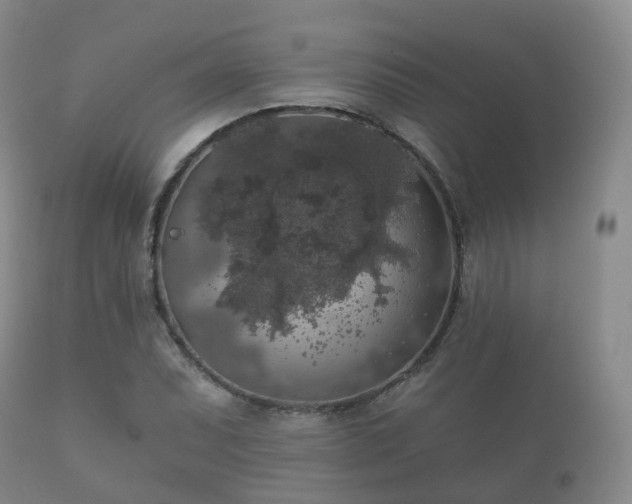X0000112351071200908201434