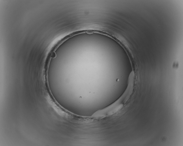 X0000112351072200908201434