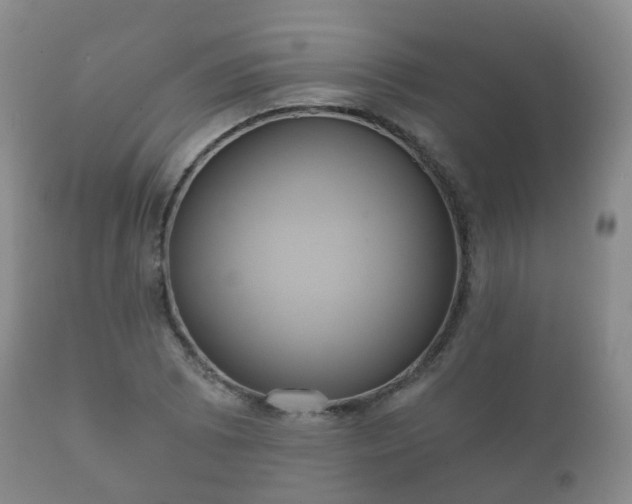 X0000112351073200908201434