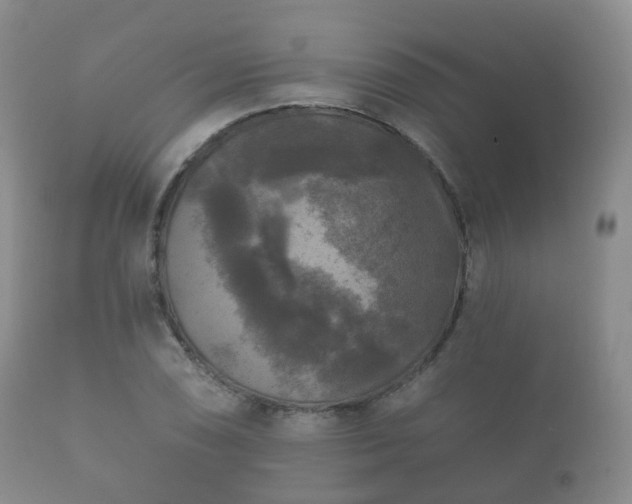 X0000112351074200908201434