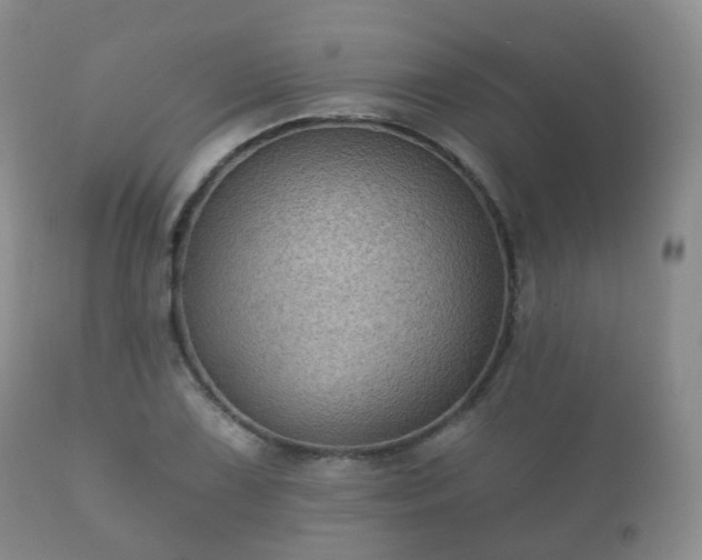 X0000112351075200908201434
