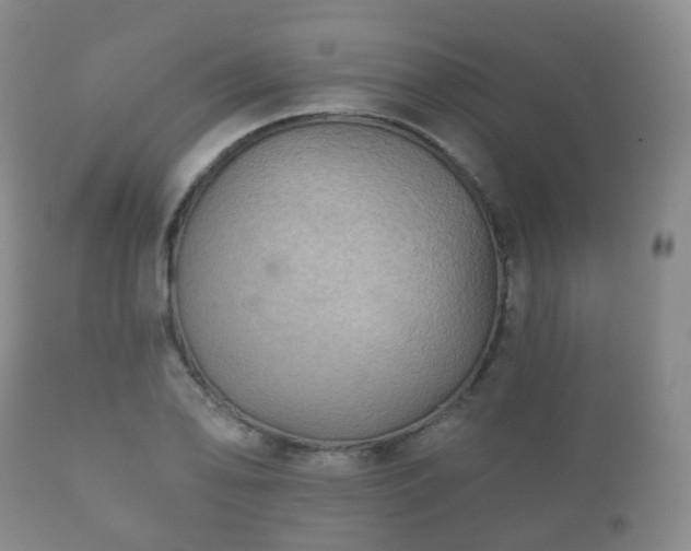 X0000112351078200908201434