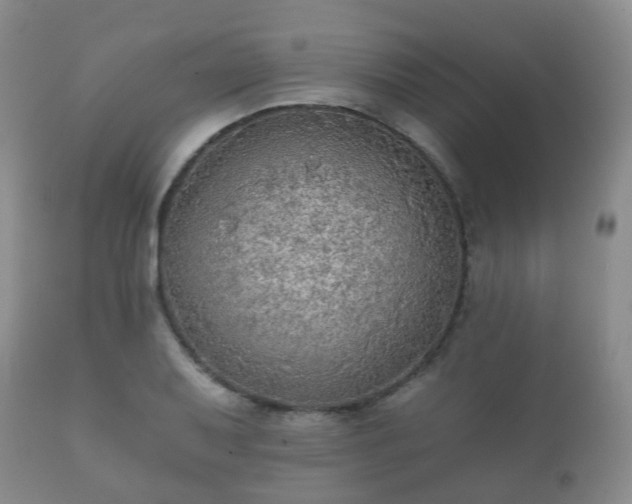 X0000112351079200908201434