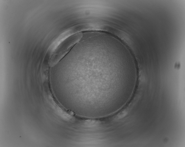 X0000112351081200908201434