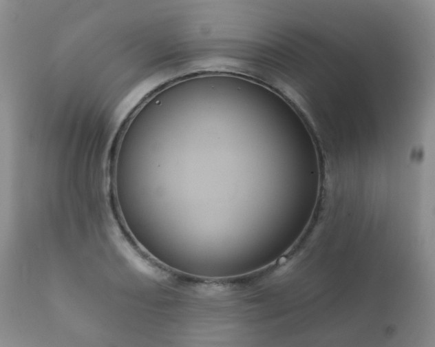 X0000112351082200908201434