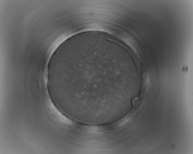 X0000112351084200908201434