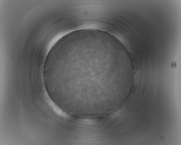 X0000112351086200908201434