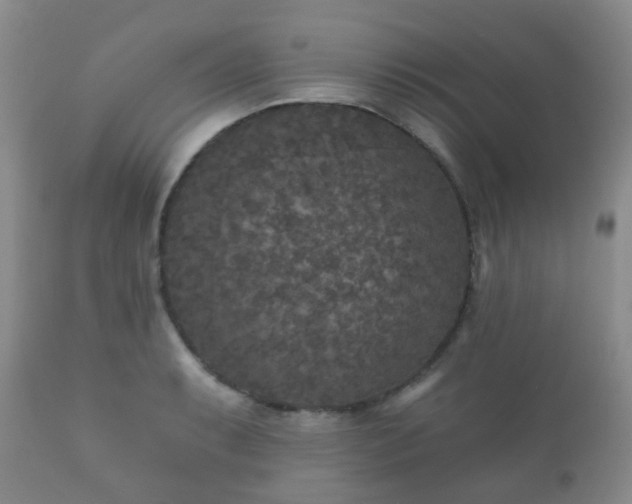 X0000112351087200908201434