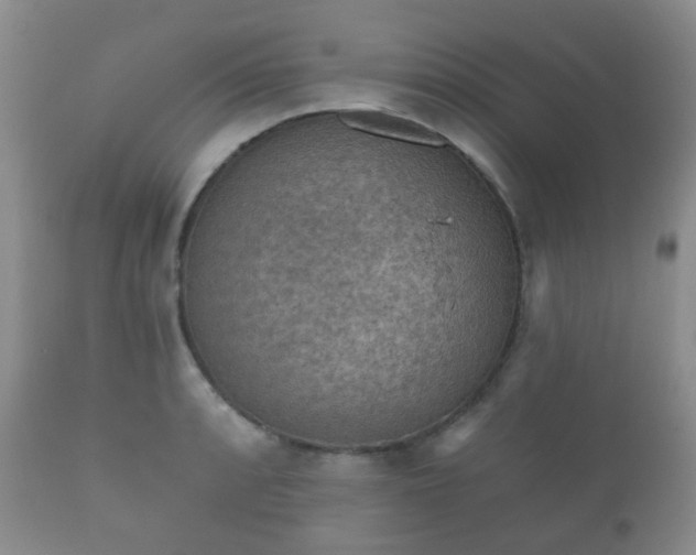 X0000112351088200908201434