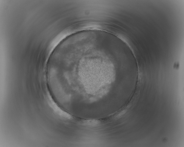 X0000112351090200908201434