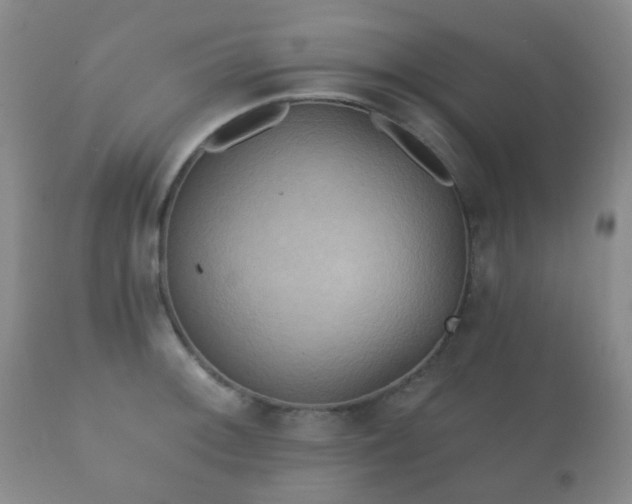 X0000112351092200908201434