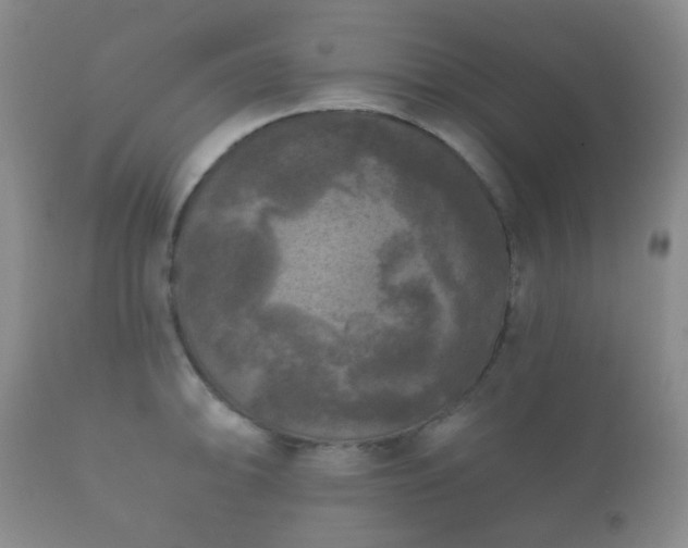 X0000112351094200908201434
