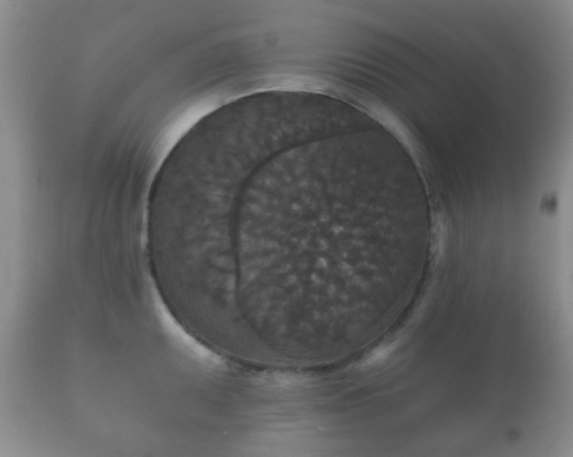 X0000112351095200908201434