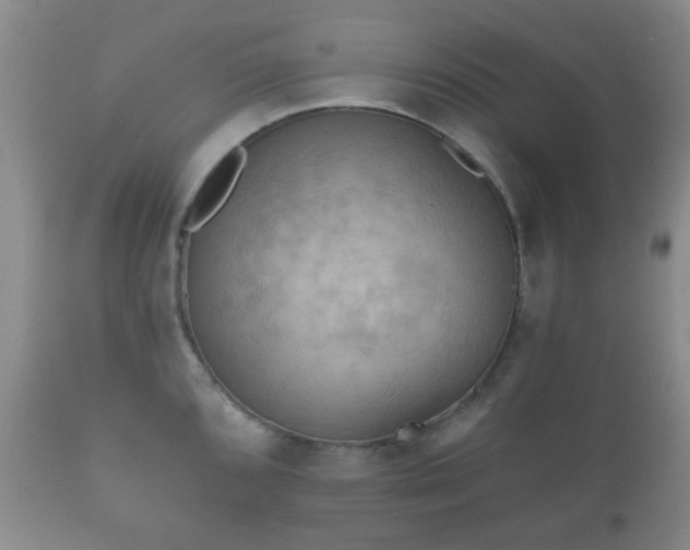 X0000112351096200908201434