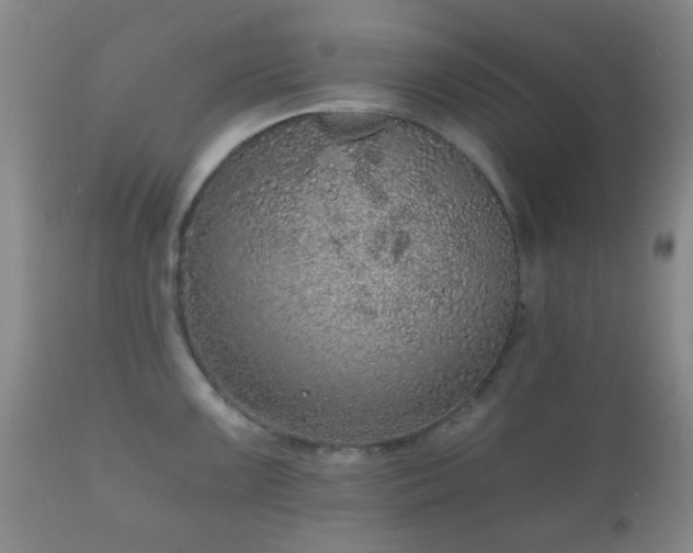 X0000112351099200908201434