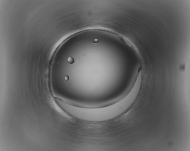 X0000112351100200908201434