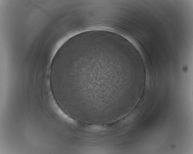 X0000112351102200908201434