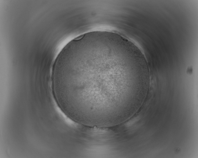 X0000112351103200908201434
