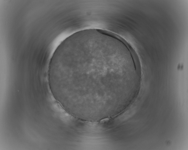 X0000112351104200908201434