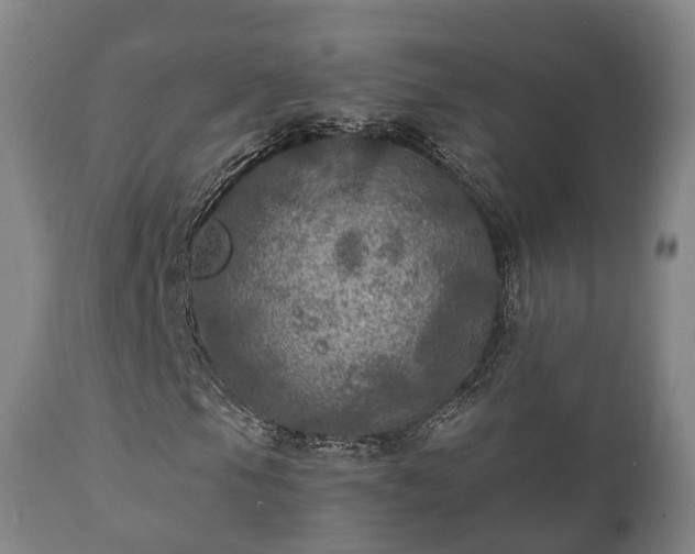 X0000112351105200908201433