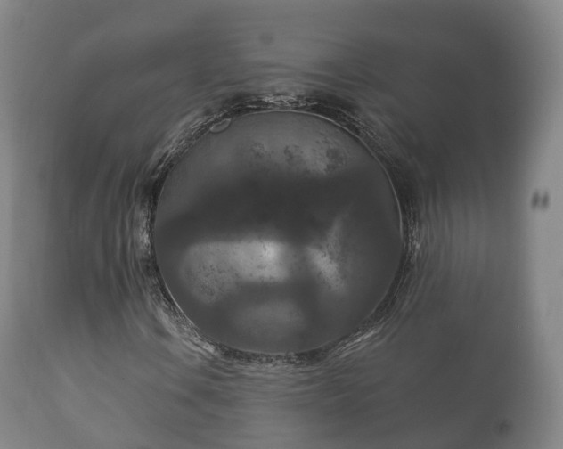 X0000112351106200908201433