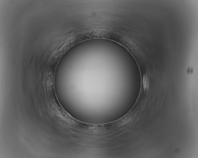 X0000112351107200908201433