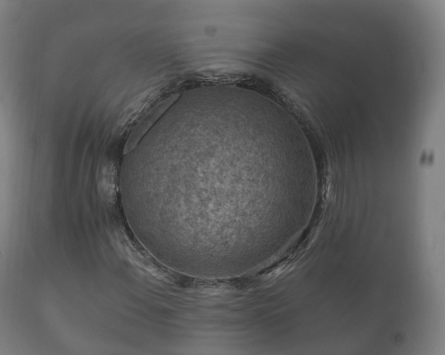 X0000112351108200908201433