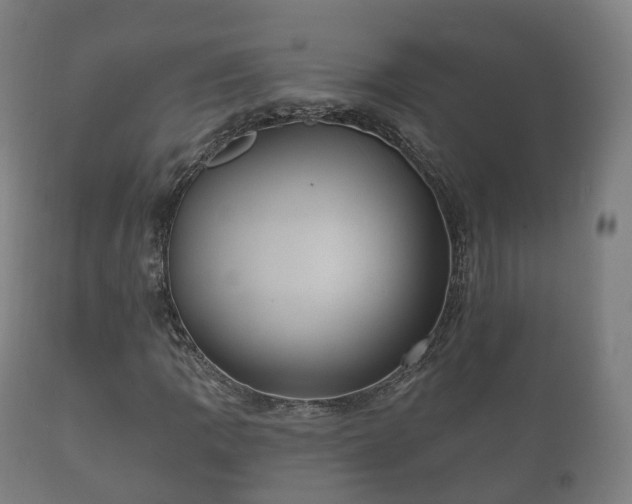 X0000112351109200908201433