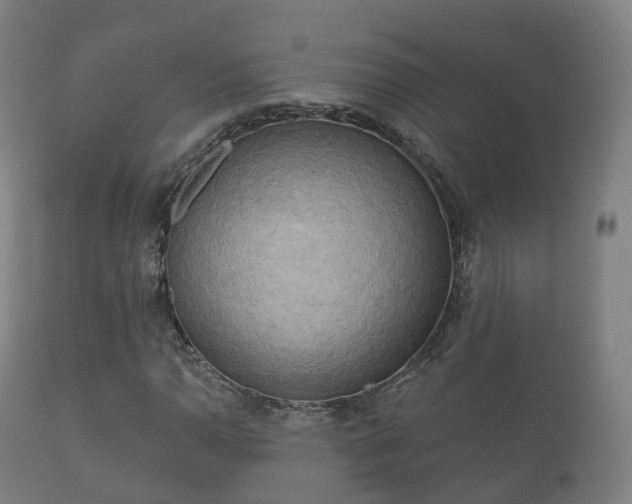 X0000112351110200908201433