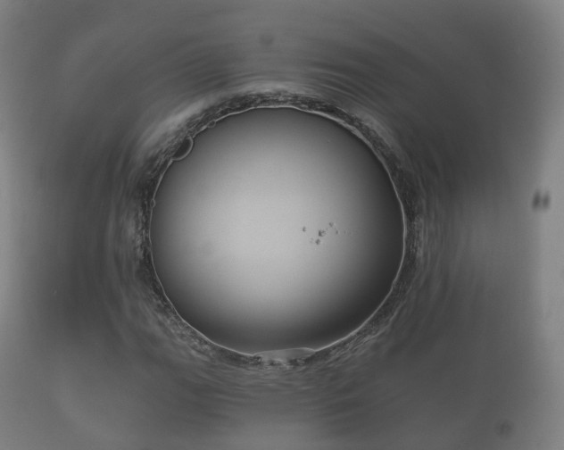 X0000112351111200908201433