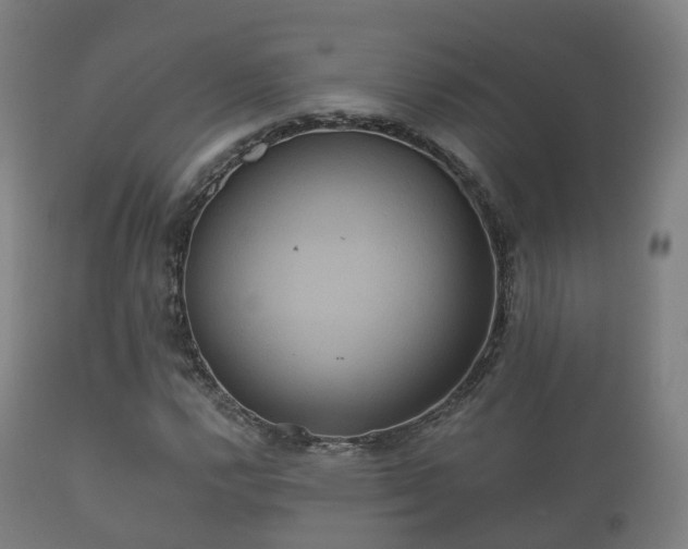 X0000112351112200908201433