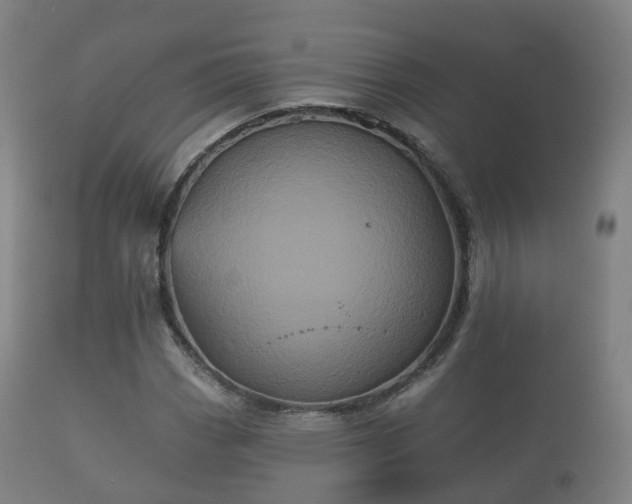 X0000112351113200908201433