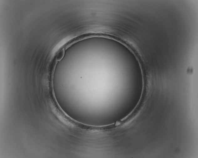 X0000112351114200908201433