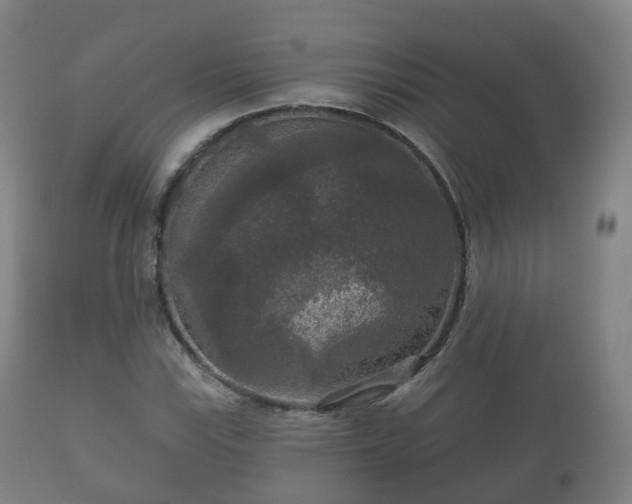 X0000112351115200908201433